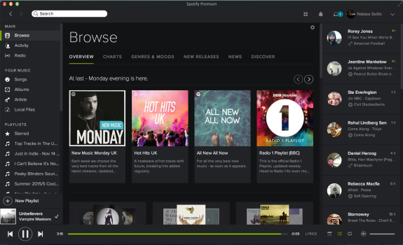 Spotify desktop app eq